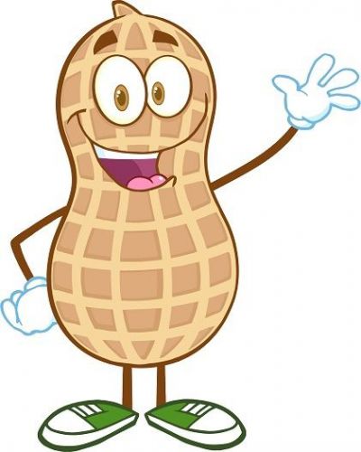 30 Custom Cartoon Peanut Personalized Address Labels