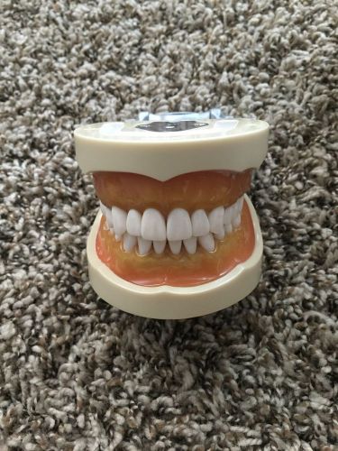 Dental bench test kilgore 200 dentoform / typodont wt , burs 2 handpiece for sale