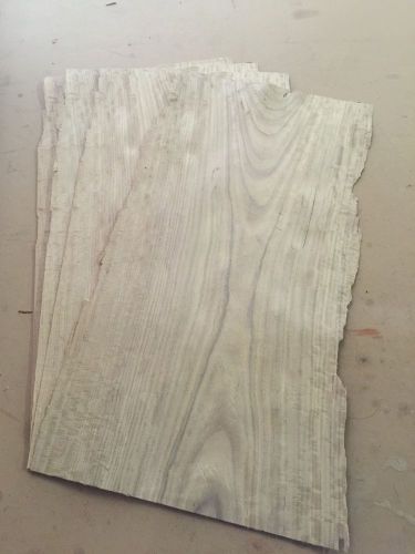 Wood Veneer Satin Wood 10x24 6Pcs Total Raw Veneer &#034;EXOTIC&#034; SAT4 9-3-15
