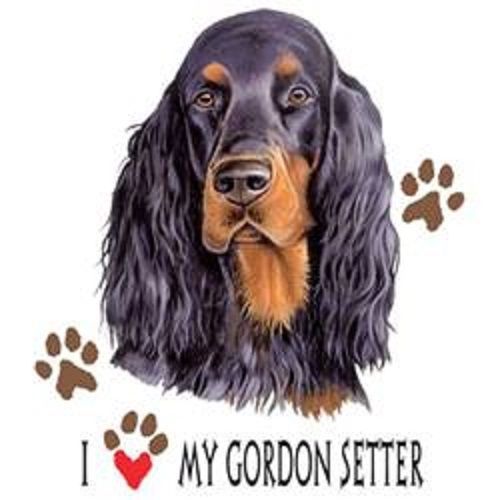 Love My Gordon Setter Dog HEAT PRESS TRANSFER for T Shirt Sweatshirt Fabric 860c