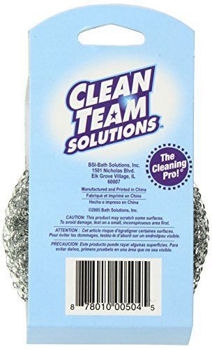 BSI Clean Team Solutions Stainless Steel Scourer with Handle, 6-Count Boxes