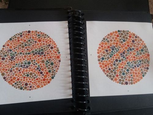 BEST 38 PLATE ISHIHARA TESTS BOOK FOR COLOR BLINDNESS TESTING EYE DEFICIENCY FSH