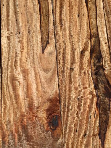Curly Mango Wood From Hawaii 6 Reclaimed Boards 13-14&#034;x3-6x3/4 Spalted Ambrosia