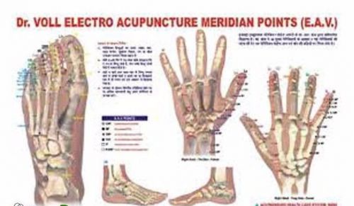 Acupuncture meridian points chart e.a.v. study educational academics teaching x2 for sale