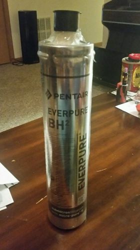 Everpure water filter bh2 ev9612 - 50 for sale