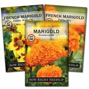 Sow Right Seeds - Marigold Seed Collection for Planting, Crackerjack, Sparky, Da
