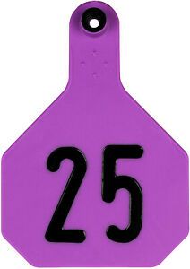 Y-Tex Large 4 Star Cattle Ear Tags Purple Numbered 101-125