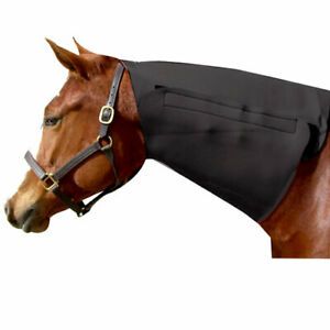 Intrepid International 245936 Neoprene Neck Sweat Horse, Black