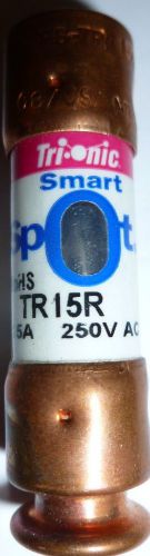 NIB Trionic Smart Spot RoHS RK5 Dual Element/Time Delay TR15R 15A 250V AC