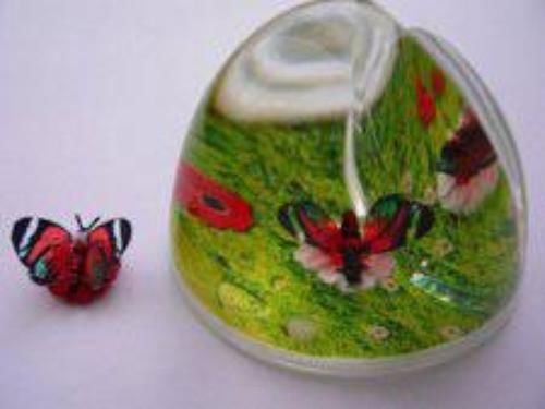 Page-up document holder liquid filled with red glasswing butterfly for sale