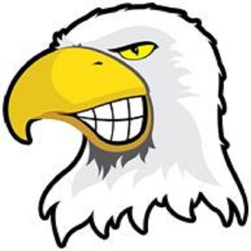 30 Custom Cartoon Bald Eagle Personalized Address Labels