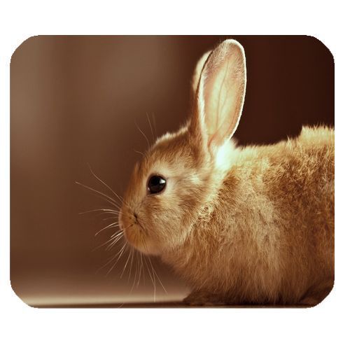 Rabbit Mouse Pad / Mice Mat 002