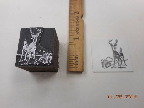 Printing Letterpress Printers Block, Alert Buck Deer