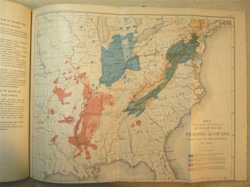 1885 DEPARTMENT OF AGRICULTURE REPORT~farming insects cicadas cattle hog wheat