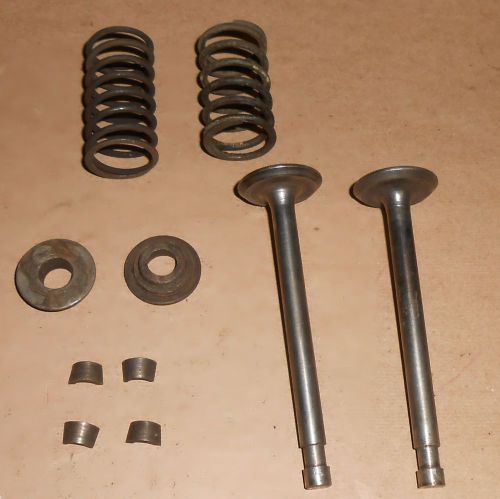 Valves, springs, retainers and keepers for a Briggs model Y kickstart engine