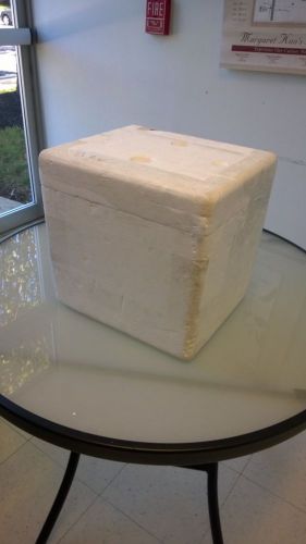 Styrofoam Boxes / Storage Container (12&#034; x 10&#034; x 11&#034;)