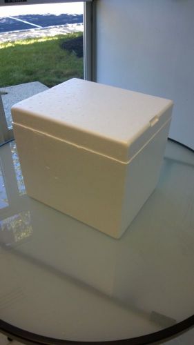 Styrofoam Boxes (11&#034; x 9&#034; x 10&#034;)