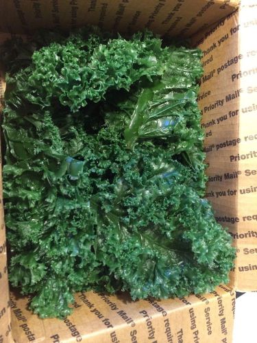 Plastic Kale