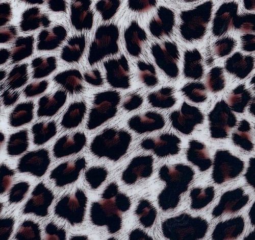 CHEETAH HYDROGRAPHICS WATER TRANSFER PRINTING FILM *FREE GIFT