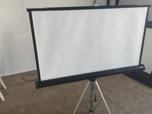 Dalite Projector Screen On Stand