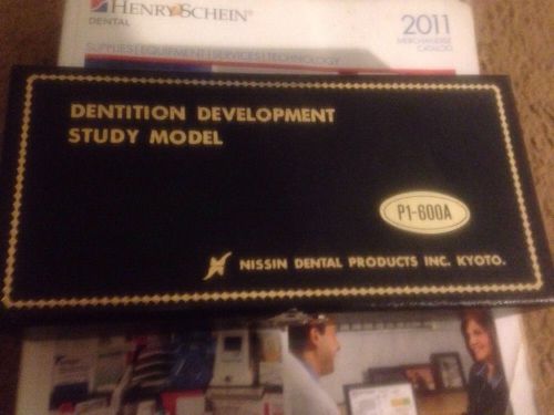 Nissin Dentition Development Study Models With Case