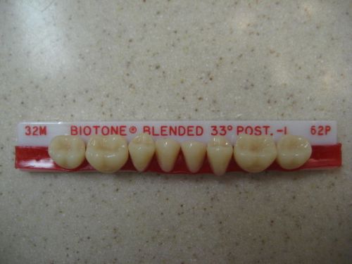 Dentsply Trubyte BioTone 33° Lower Posterior Mould 32M / 62P Dental Teeth