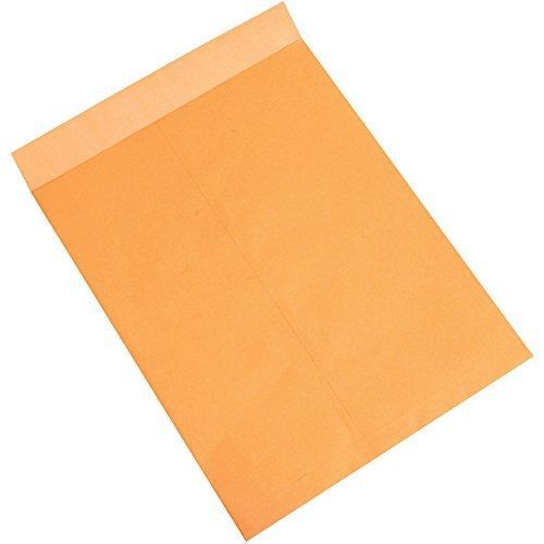 Aviditi EN1085 Jumbo Envelopes, 18&#034; x 23&#034;, Kraft (Pack of 100)