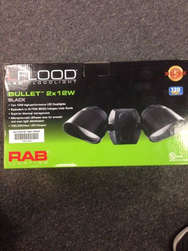 RAB BULLET2X12B NEW LED flood (BLACK)