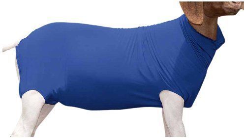 Weaver leather spandex goat tube - blue - large - fits goats 110-140 lbs for sale