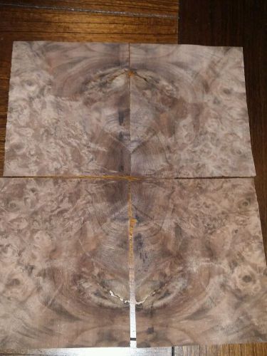 4 buckled pieces Walnut Burl wood veneer 7 1/4&#034; x 5 3/4&#034; raw 1/42&#034; thickness