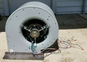 Dayton 4C589B 9 1/2&#034; Blower with 115 VAC Motor Tested Good Out Of Working Furnac