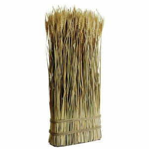 Grass Wheat Bundle  - 23 3/5&#034;H