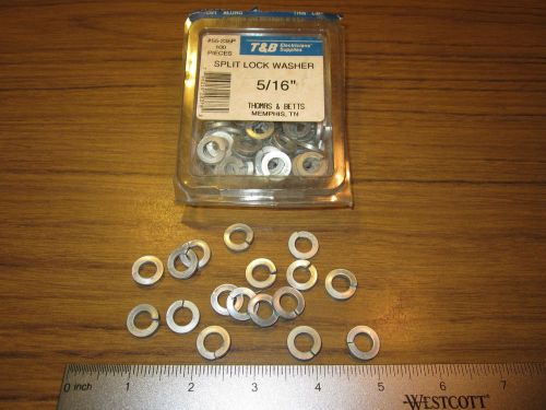 T&amp;b 5/16&#034; split lock washers plated steel fittings fasteners hardware 100 count for sale