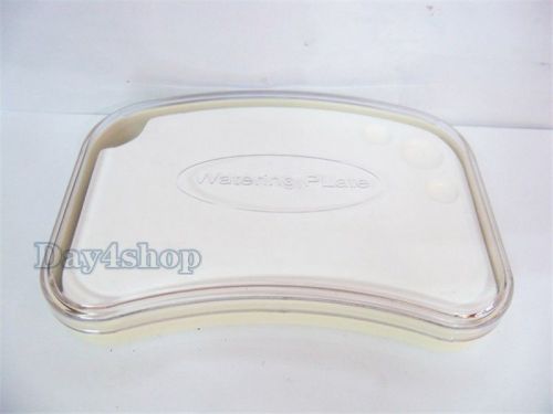 Dental Lab SMALL Porcelain Mixing Watering Wet Tray New