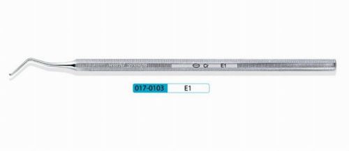 10Pcs KangQiao Dental Instrument Curettes E1 (eight-angle handle)
