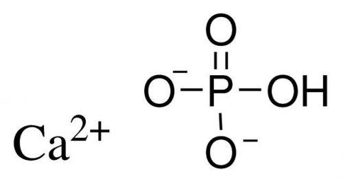 Calcium phosphate dibasic 99% 300g