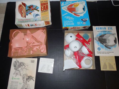 2 vtg 1950s &amp; 1968 pyro life size human eye &amp; ear plastic model kits unused for sale