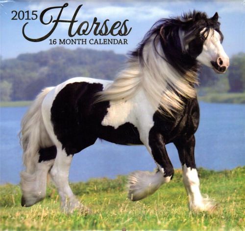 16 Month 2015 Wall Calendar Horses 12 x 11 New