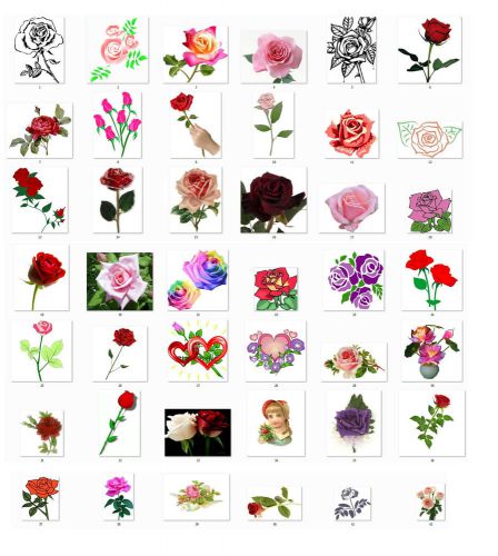 Personalized Return Address Labels Beautiful Roses choose one picture