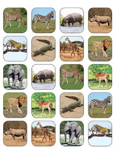 NEW Teacher Created Resources Safari Animals Stickers