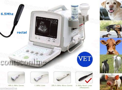 Veterinary portable ultrasound scanner with 6.5mhz rectal linear probe cms600b-2 for sale