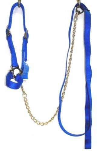 Valhoma Blue Poly Heiffer Halter with Lead Horse Tack