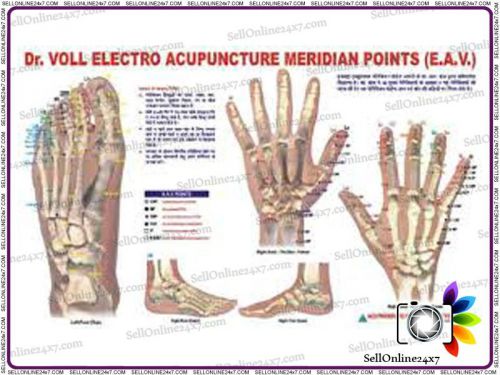 Acupuncture Meridian Points E.A.V. Chart for Lab And Life Science