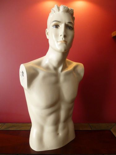 Handsome Painted Male Mannequin Torso Counterop Display Ripped