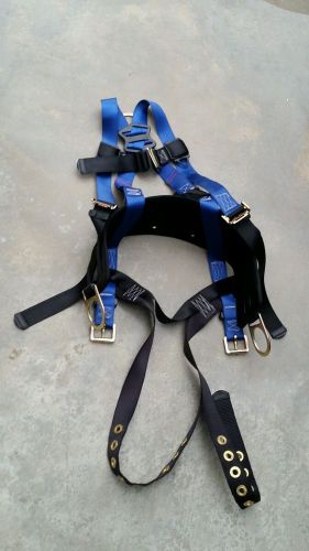 Full body harness and lanyard