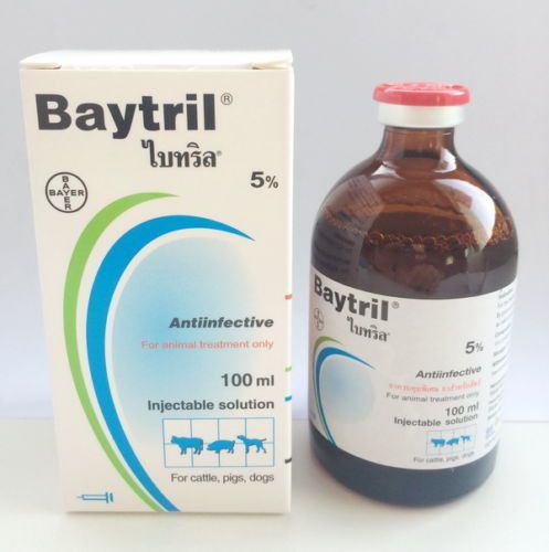 Baytril 5% injectable solution cattles pigs dogs anti-infective 100 ml