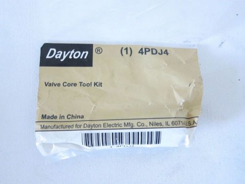 Dayton 4PDJ4 Valve Core Tool Kit Remover 
