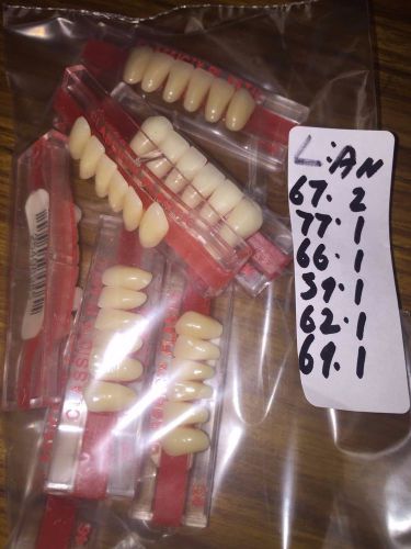 LOT OF- New Hue Plastic Teeth Cards 7 LOWER ANTERIORS