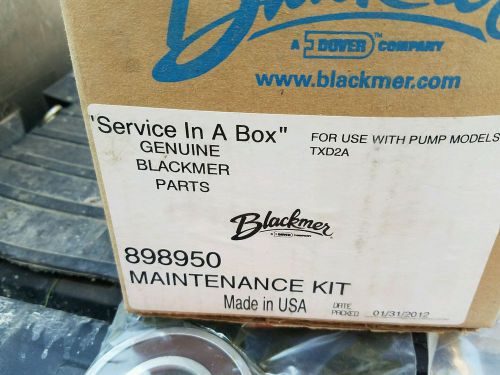 Blackmer pump maintenance kit #898950 for sale