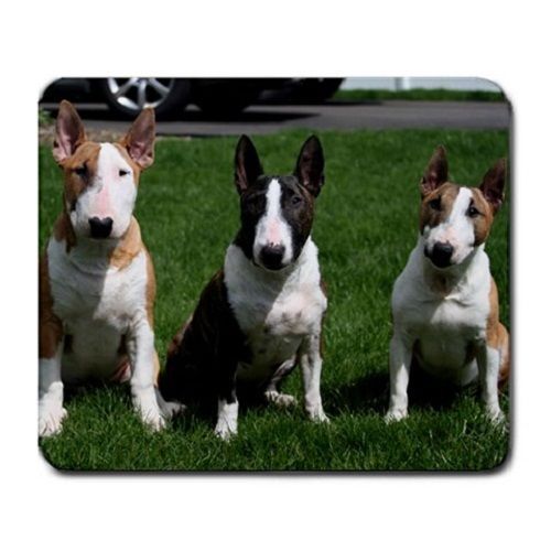 Three Bull Terriers Puppy Puppies Dogs Pets Animal Large Mousepad Mouse Pad